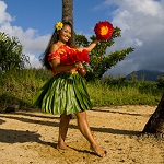 Say Aloha to Paradise on a Hawaii Cruise