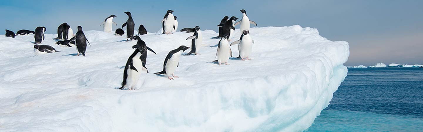 South America Cruise Deals