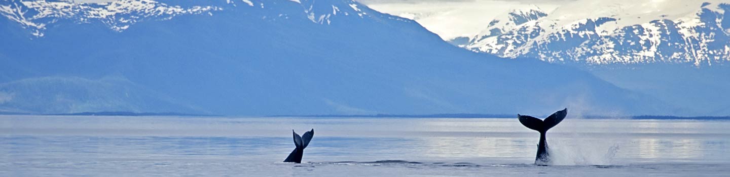Alaska Cruise