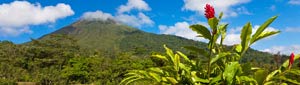 Panama Canal Cruises
