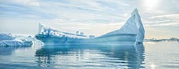 Antarctic Cruise